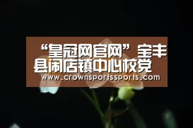 “皇冠网官网”宝丰县闹店镇中心校党总支召开“不忘初心、牢记使命”专题组织生活会(图1) 皇冠网