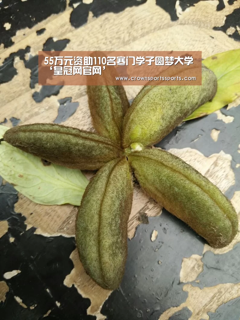 55万元资助110名寒门学子圆梦大学‘皇冠网官网’(图4) 皇冠网官网