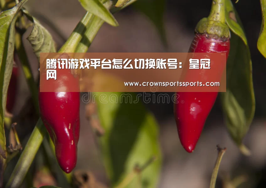 腾讯游戏平台怎么切换账号:皇冠网(图2) 皇冠网
